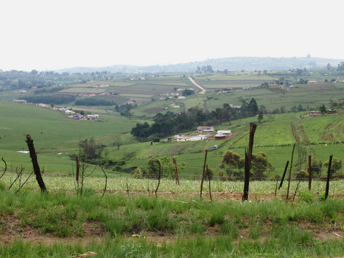 Farm Land and Homes.